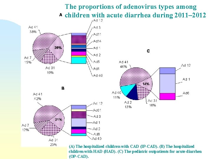 The proportions of adenovirus types among children with acute diarrhea during 2011– 2012 (A) The proportions of adenovirus types among children with acute diarrhea during 2011– 2012 (A)