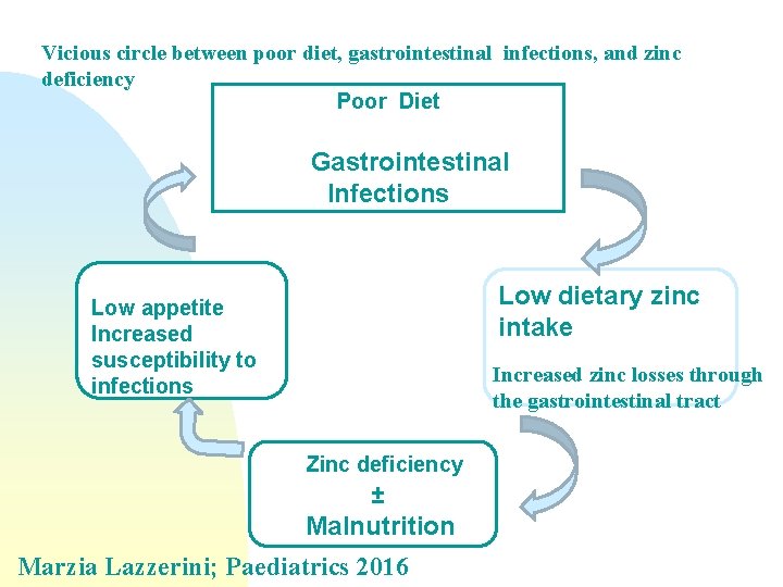 Vicious circle between poor diet, gastrointestinal infections, and zinc deficiency Poor Diet Gastrointestinal Infections Vicious circle between poor diet, gastrointestinal infections, and zinc deficiency Poor Diet Gastrointestinal Infections