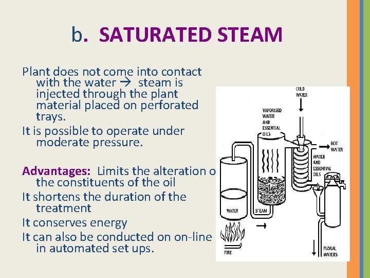 b. SATURATED STEAM Plant does not come into contact with the water steam is