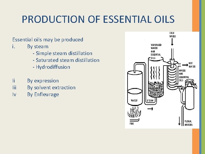 PRODUCTION OF ESSENTIAL OILS Essential oils may be produced i. By steam - Simple