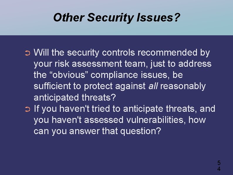 Other Security Issues? Will the security controls recommended by your risk assessment team, just