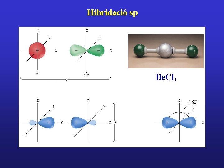 Hibridació sp Be. Cl 2 Hibridació sp Be. Cl 2