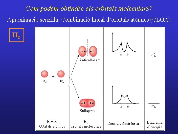 Com podem obtindre els orbitals moleculars? Aproximació senzilla: Combinació lineal d’orbitals atòmics (CLOA) H Com podem obtindre els orbitals moleculars? Aproximació senzilla: Combinació lineal d’orbitals atòmics (CLOA) H