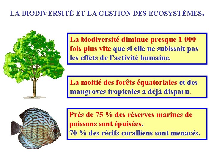 LA BIODIVERSITÉ ET LA GESTION DES ÉCOSYSTÈMES. La biodiversité diminue presque 1 000 fois