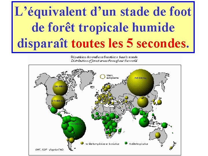 L’équivalent d’un stade de foot de forêt tropicale humide disparaît toutes les 5 secondes.