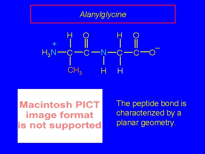 Alanylglycine + H 3 N H C CH 3 H O C N C