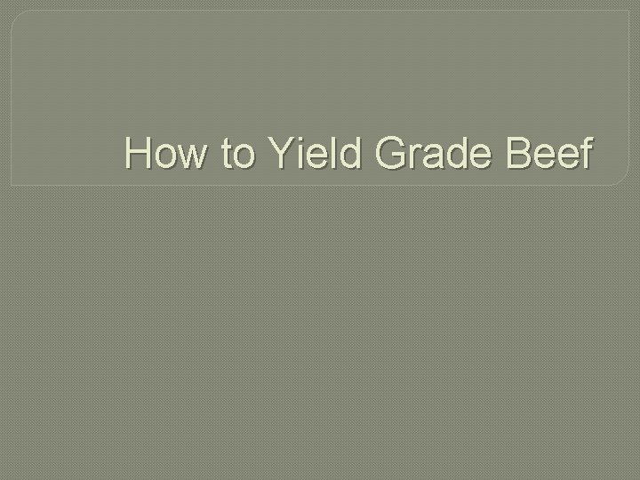 How to Yield Grade Beef 