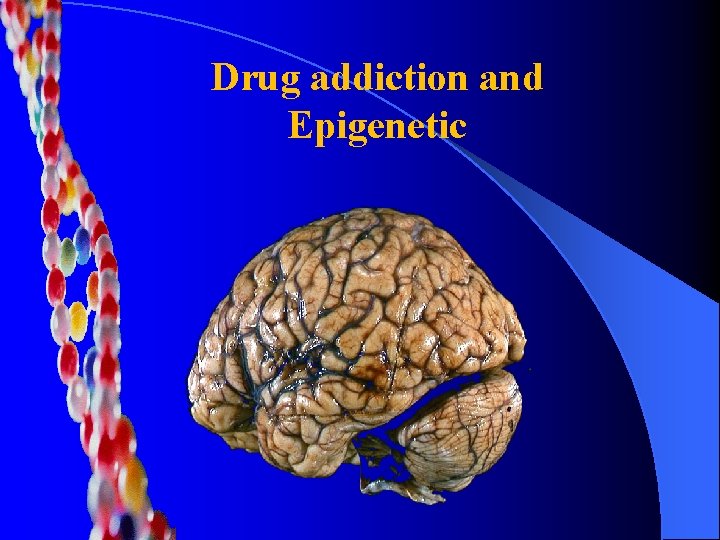 Drug addiction and Epigenetic 