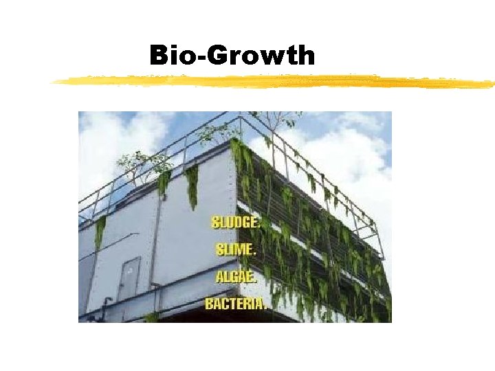 Bio-Growth 