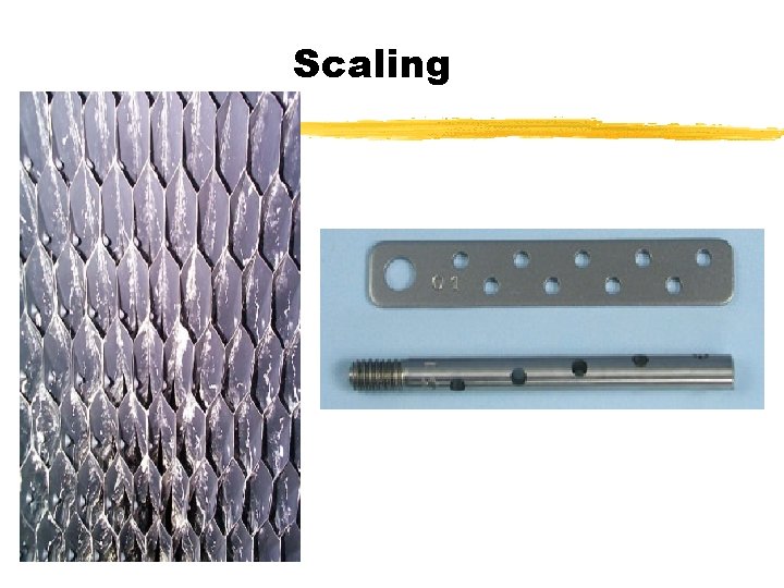 Scaling 