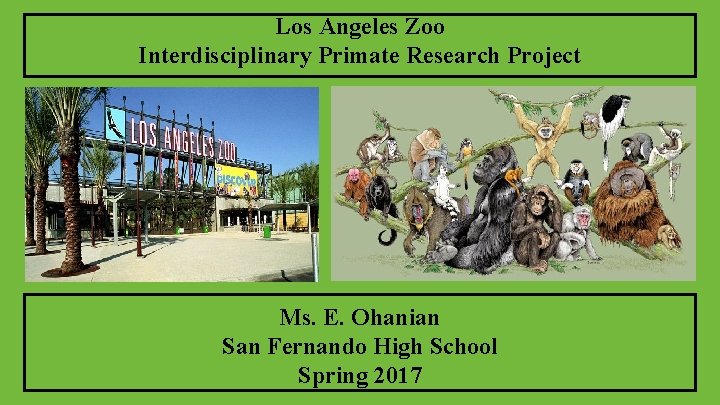 Los Angeles Zoo Interdisciplinary Primate Research Project Ms. E. Ohanian San Fernando High School