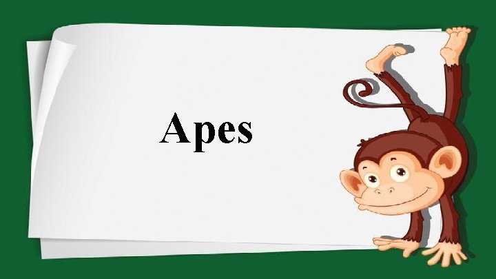 Apes 