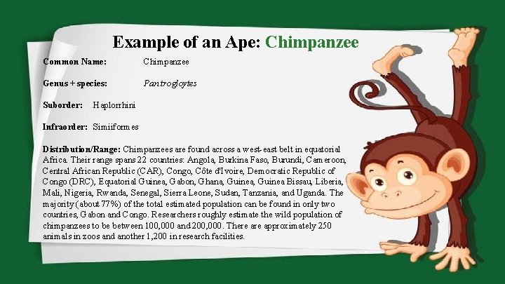 Example of an Ape: Chimpanzee Common Name: Chimpanzee Genus + species: Pan trogloytes Suborder: