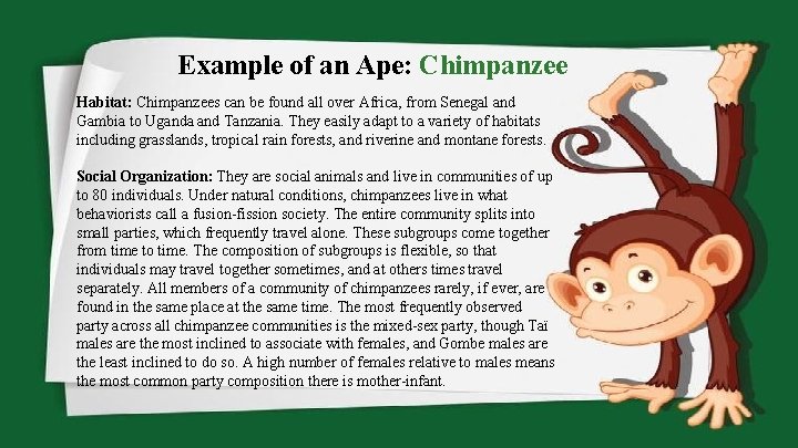 Example of an Ape: Chimpanzee Habitat: Chimpanzees can be found all over Africa, from