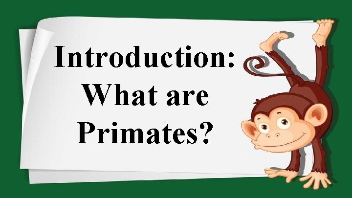 Introduction: What are Primates? 