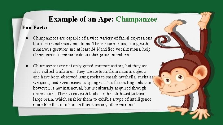 Example of an Ape: Chimpanzee Fun Facts: ● Chimpanzees are capable of a wide