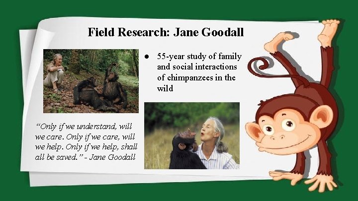 Field Research: Jane Goodall ● 55 -year study of family and social interactions of