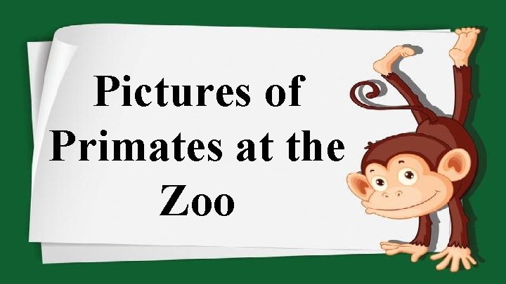 Pictures of Primates at the Zoo 
