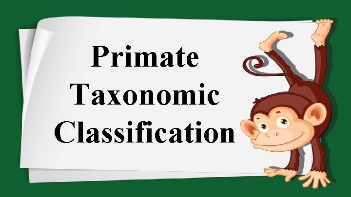 Primate Taxonomic Classification 