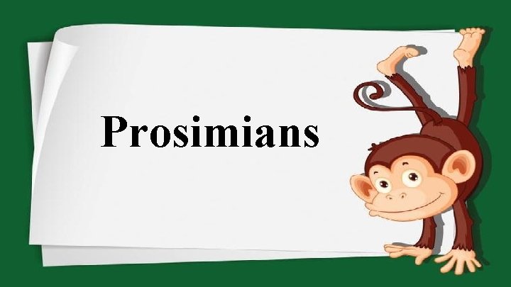 Prosimians 