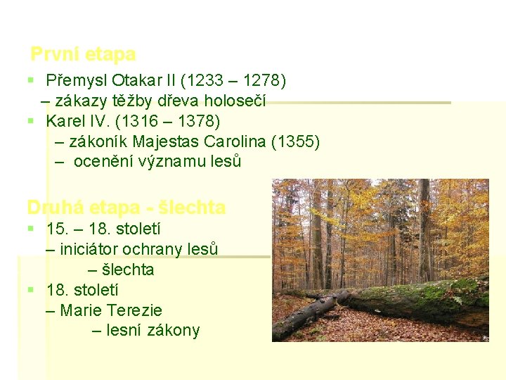 První etapa § Přemysl Otakar II (1233 – 1278) – zákazy těžby dřeva holosečí