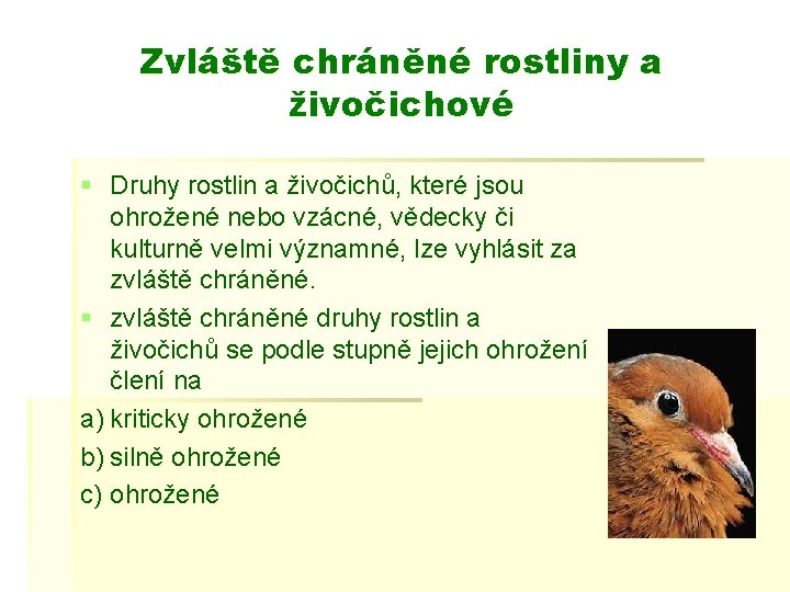 Zvláště chráněné rostliny a živočichové § Druhy rostlin a živočichů, které jsou ohrožené nebo