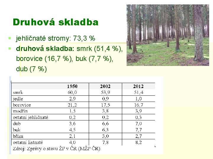 Druhová skladba § jehličnaté stromy: 73, 3 % § druhová skladba: smrk (51, 4