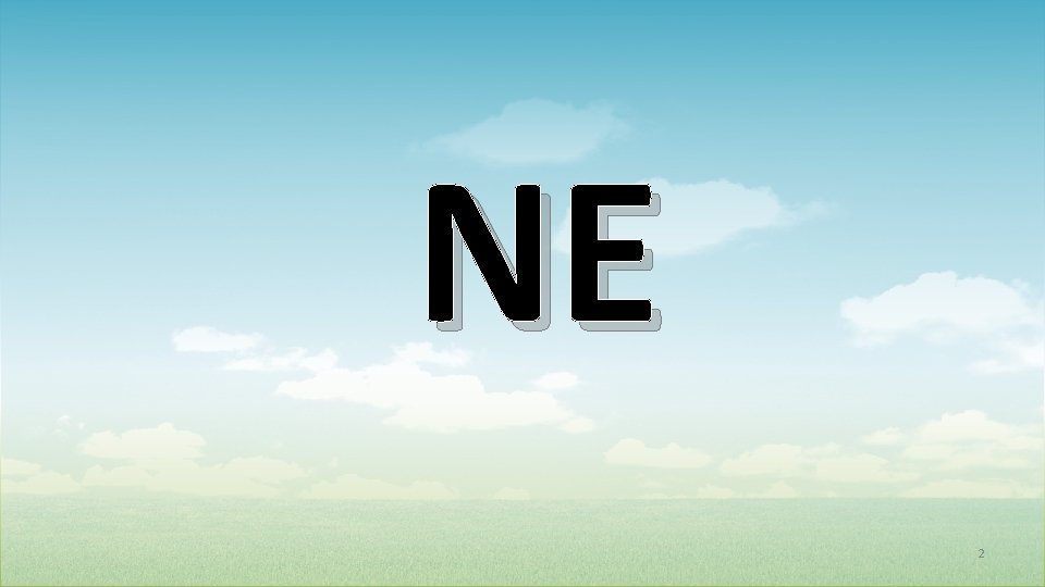 NE 2 