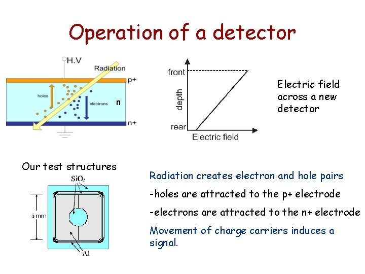 Operation of a detector n Our test structures Electric field across a new detector Operation of a detector n Our test structures Electric field across a new detector