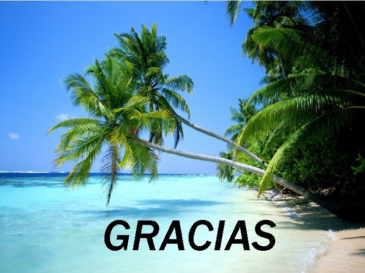 GRACIAS 