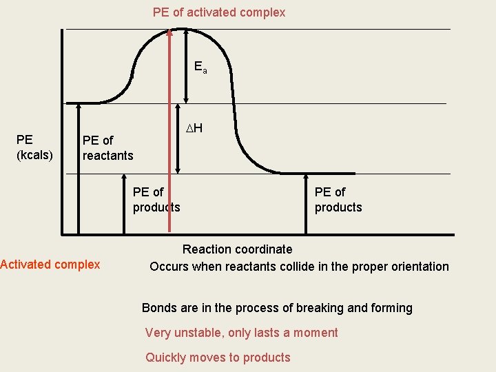 PE of activated complex Ea PE (kcals) H PE of reactants Activated complex PE
