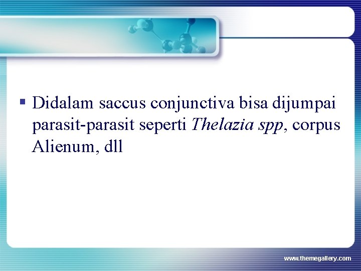 § Didalam saccus conjunctiva bisa dijumpai parasit-parasit seperti Thelazia spp, corpus Alienum, dll www. § Didalam saccus conjunctiva bisa dijumpai parasit-parasit seperti Thelazia spp, corpus Alienum, dll www.