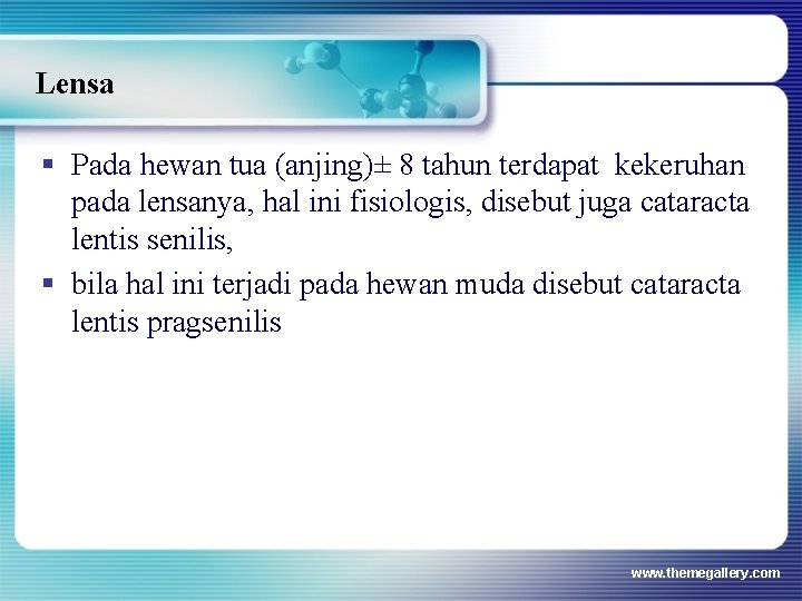 Lensa § Pada hewan tua (anjing)± 8 tahun terdapat kekeruhan pada lensanya, hal ini Lensa § Pada hewan tua (anjing)± 8 tahun terdapat kekeruhan pada lensanya, hal ini