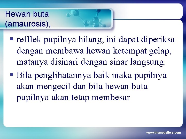 Hewan buta (amaurosis), § refflek pupilnya hilang, ini dapat diperiksa dengan membawa hewan ketempat Hewan buta (amaurosis), § refflek pupilnya hilang, ini dapat diperiksa dengan membawa hewan ketempat