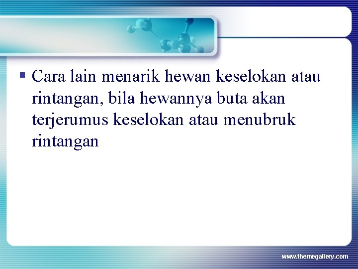 § Cara lain menarik hewan keselokan atau rintangan, bila hewannya buta akan terjerumus keselokan § Cara lain menarik hewan keselokan atau rintangan, bila hewannya buta akan terjerumus keselokan