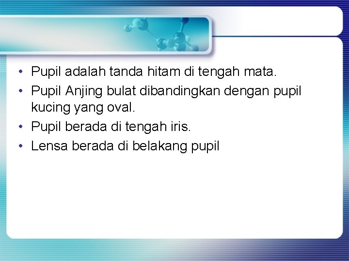 • Pupil adalah tanda hitam di tengah mata. • Pupil Anjing bulat dibandingkan • Pupil adalah tanda hitam di tengah mata. • Pupil Anjing bulat dibandingkan