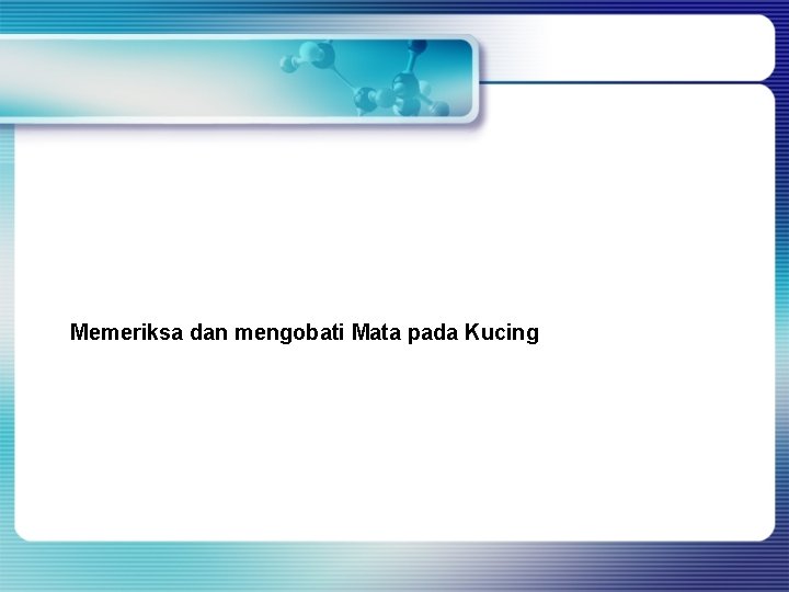 Memeriksa dan mengobati Mata pada Kucing Memeriksa dan mengobati Mata pada Kucing