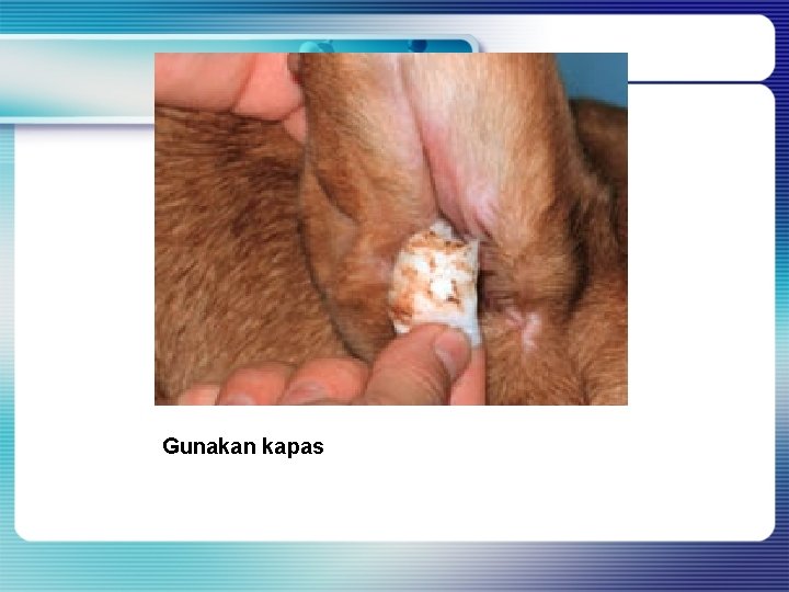 Gunakan kapas Gunakan kapas