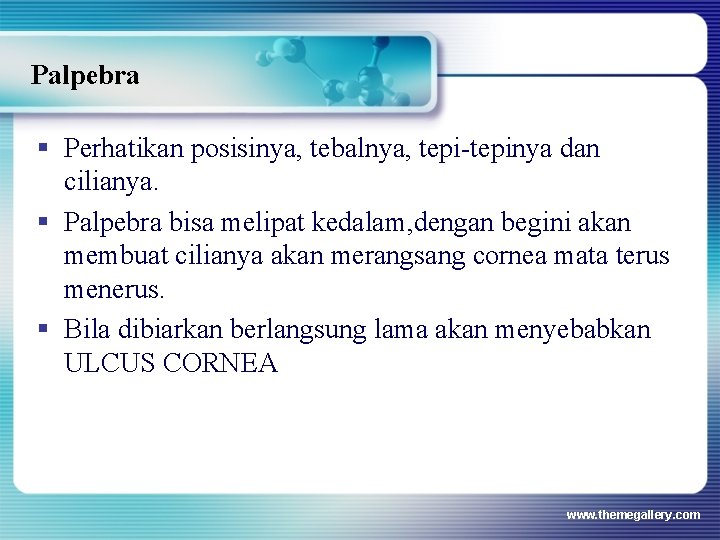 Palpebra § Perhatikan posisinya, tebalnya, tepi-tepinya dan cilianya. § Palpebra bisa melipat kedalam, dengan Palpebra § Perhatikan posisinya, tebalnya, tepi-tepinya dan cilianya. § Palpebra bisa melipat kedalam, dengan