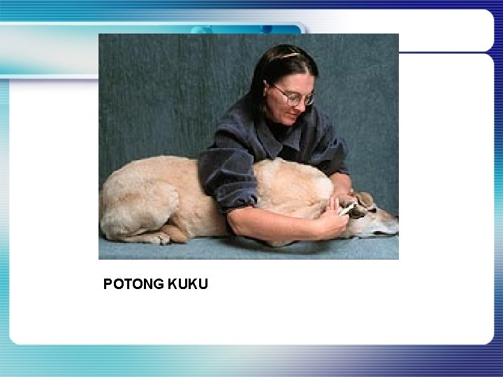 POTONG KUKU POTONG KUKU