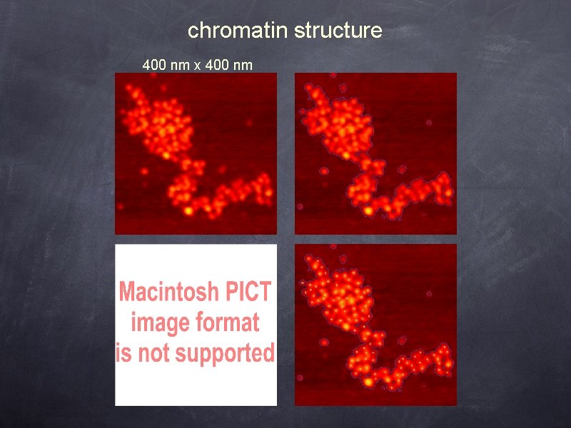 chromatin structure 400 nm x 400 nm 
