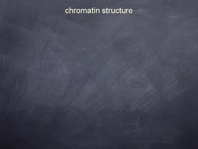 chromatin structure 