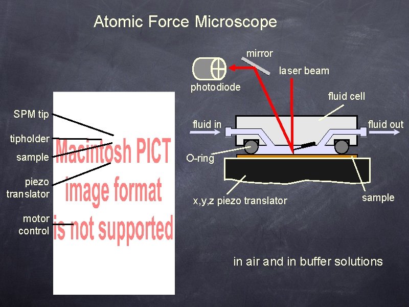 Atomic Force Microscope mirror laser beam photodiode SPM tip fluid in fluid cell fluid