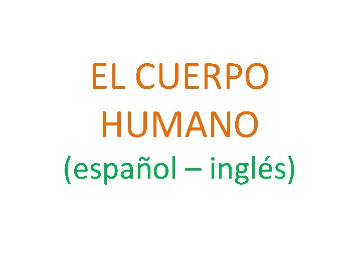 EL CUERPO HUMANO (español – inglés) 