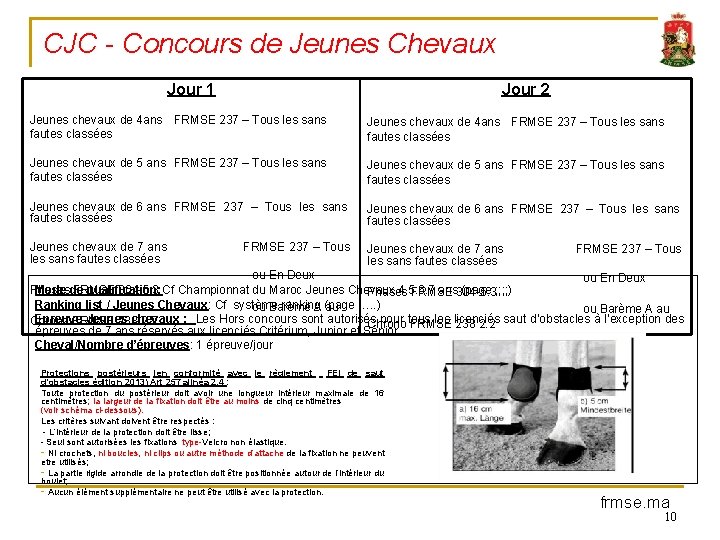 CJC - Concours de Jeunes Chevaux Jour 1 Jour 2 Jeunes chevaux de 4
