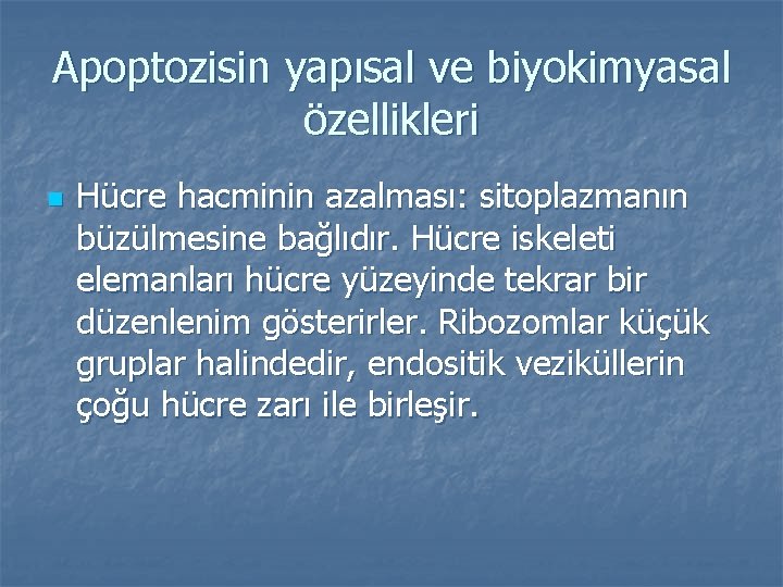 Apoptozisin yapısal ve biyokimyasal özellikleri n Hücre hacminin azalması: sitoplazmanın büzülmesine bağlıdır. Hücre iskeleti