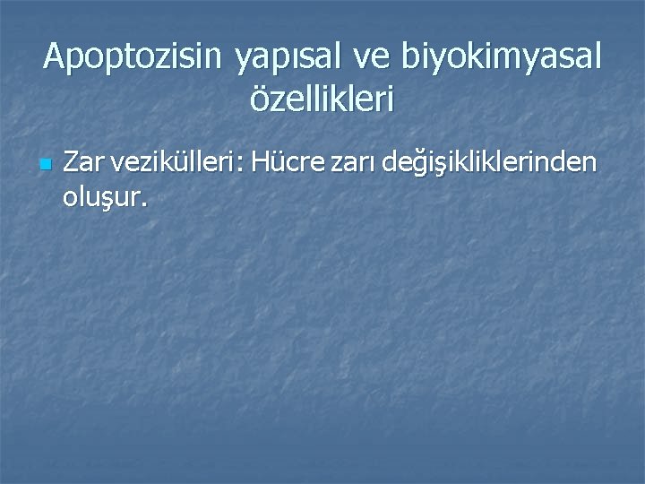 Apoptozisin yapısal ve biyokimyasal özellikleri n Zar vezikülleri: Hücre zarı değişikliklerinden oluşur. 