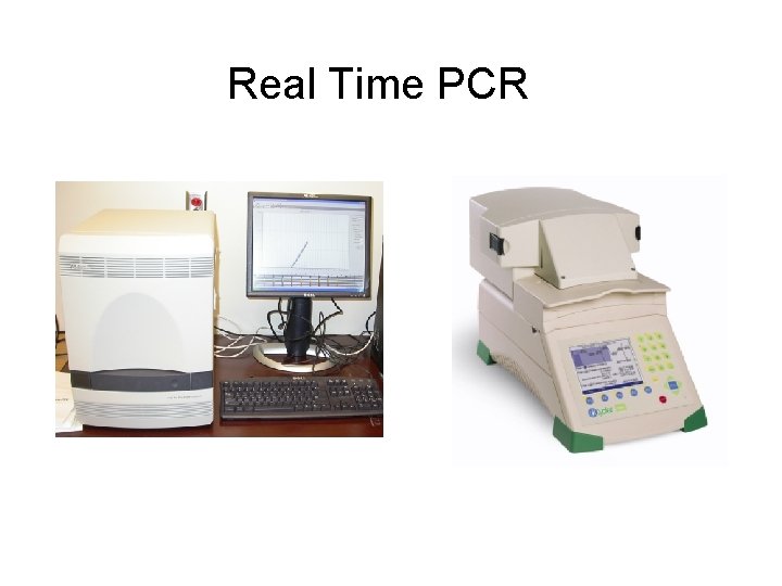 Real Time PCR 