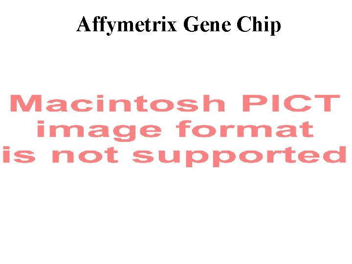 Affymetrix Gene Chip 