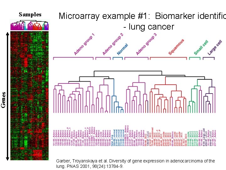 Microarray example #1: Biomarker identific - lung cancer G e ne s Samples Garber,